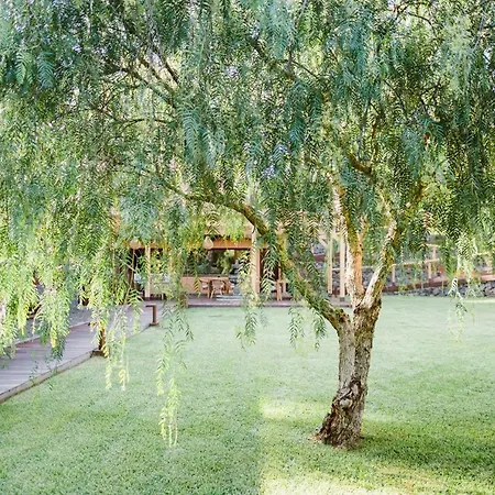 Rural Ohana Hotel Santa Cruz de Tenerife