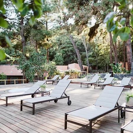 Rural Ohana ホテル サンタクルスデテネリフェ