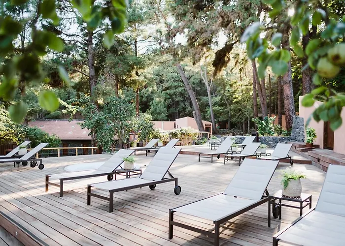 Rural Ohana Szálloda Santa Cruz de Tenerife